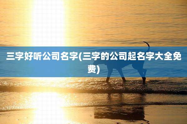 三字好听公司名字(三字的公司起名字大全免费)