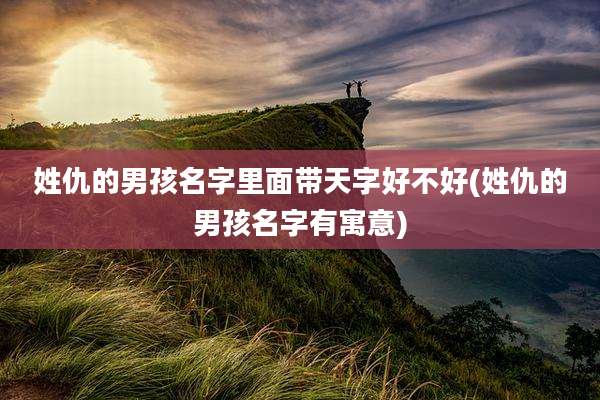 姓仇的男孩名字里面带天字好不好(姓仇的男孩名字有寓意)