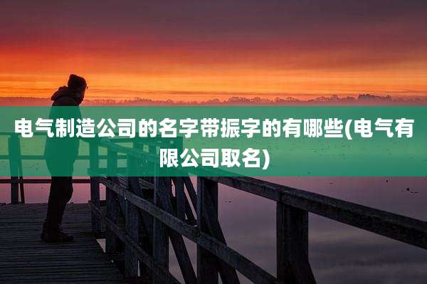 电气制造公司的名字带振字的有哪些(电气有限公司取名)