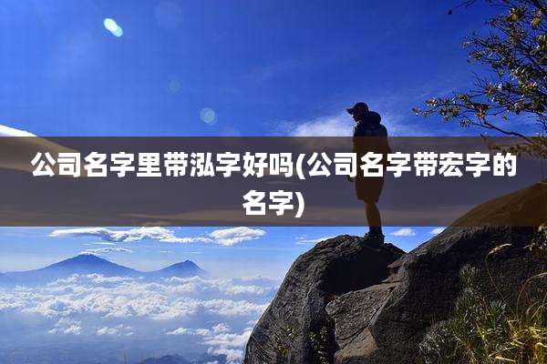 公司名字里带泓字好吗(公司名字带宏字的名字)