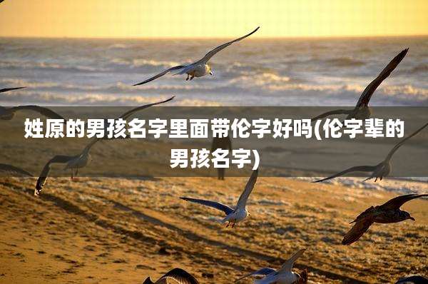 姓原的男孩名字里面带伦字好吗(伦字辈的男孩名字)