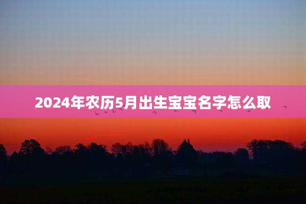 2024年农历5月出生宝宝名字怎么取