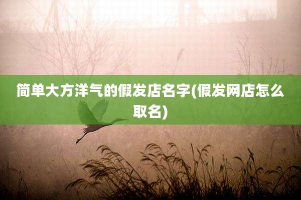 简单大方洋气的假发店名字(假发网店怎么取名)