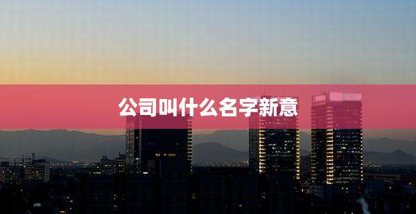 公司叫什么名字新意