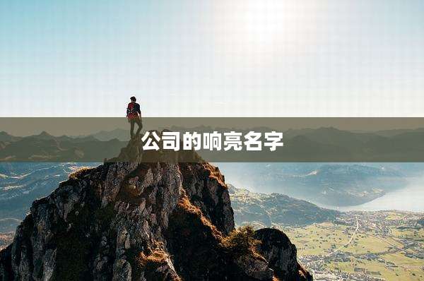 公司的响亮名字