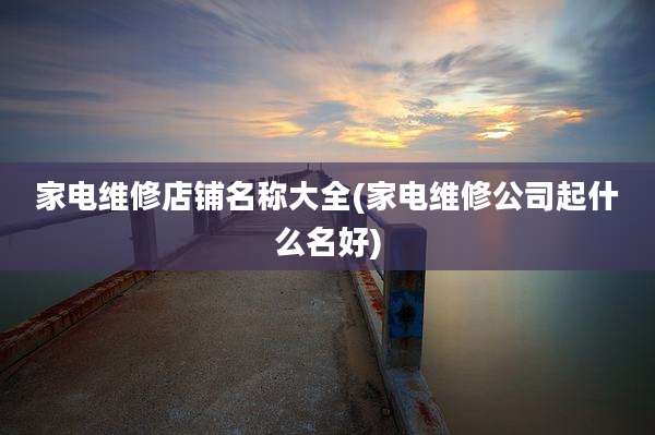 家电维修店铺名称大全(家电维修公司起什么名好)
