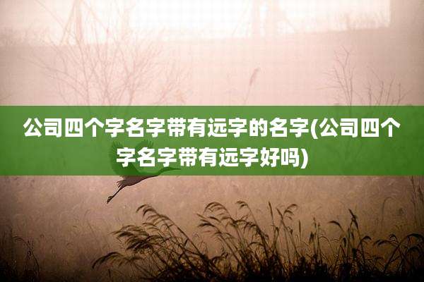 公司四个字名字带有远字的名字(公司四个字名字带有远字好吗)