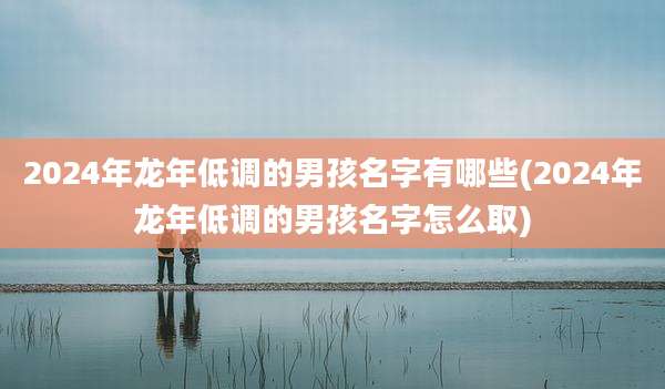 2024年龙年低调的男孩名字有哪些(2024年龙年低调的男孩名字怎么取)