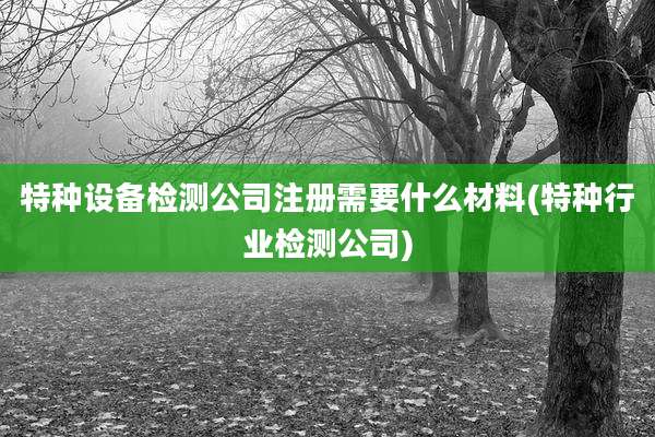 特种设备检测公司注册需要什么材料(特种行业检测公司)