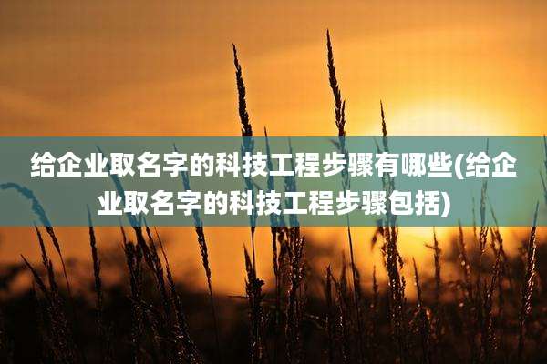 给企业取名字的科技工程步骤有哪些(给企业取名字的科技工程步骤包括)