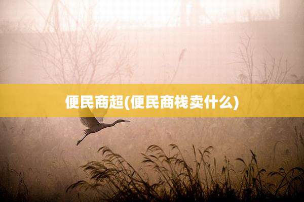 便民商超(便民商栈卖什么)