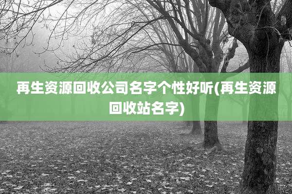 再生资源回收公司名字个性好听(再生资源回收站名字)