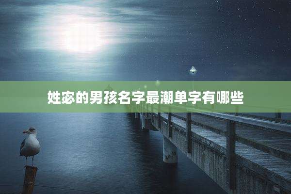 姓宓的男孩名字最潮单字有哪些