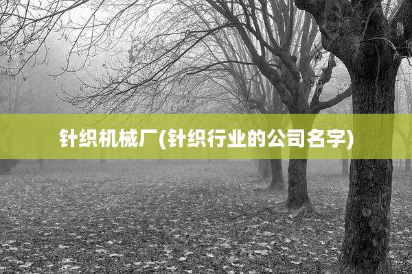 针织机械厂(针织行业的公司名字)