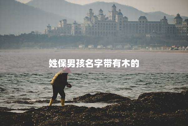 姓保男孩名字带有木的
