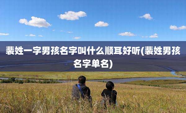 裴姓一字男孩名字叫什么顺耳好听(裴姓男孩名字单名)