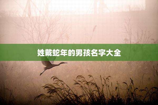 姓戴蛇年的男孩名字大全
