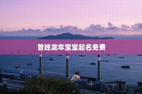 曾姓龙年宝宝起名免费