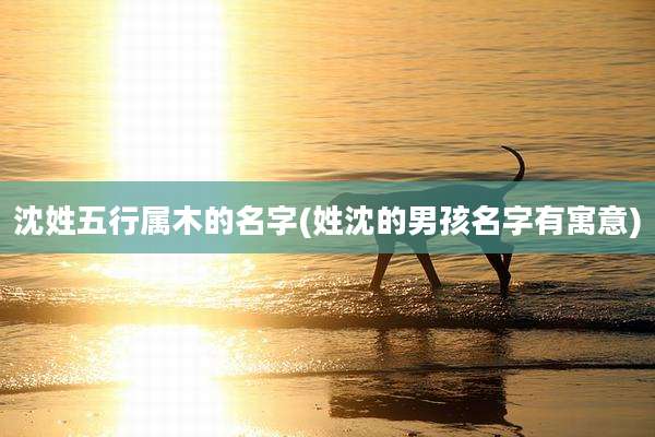 沈姓五行属木的名字(姓沈的男孩名字有寓意)