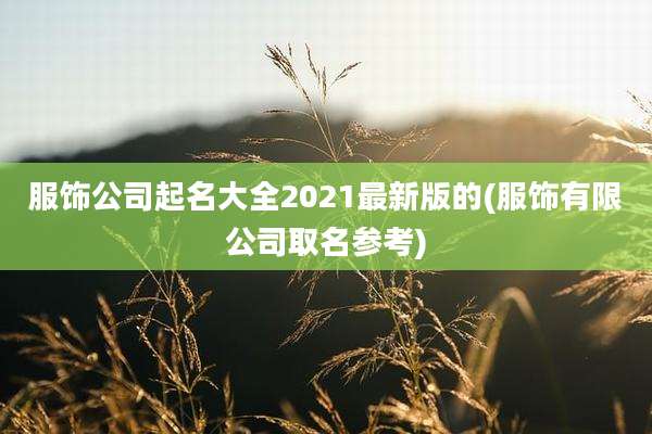 服饰公司起名大全2021最新版的(服饰有限公司取名参考)
