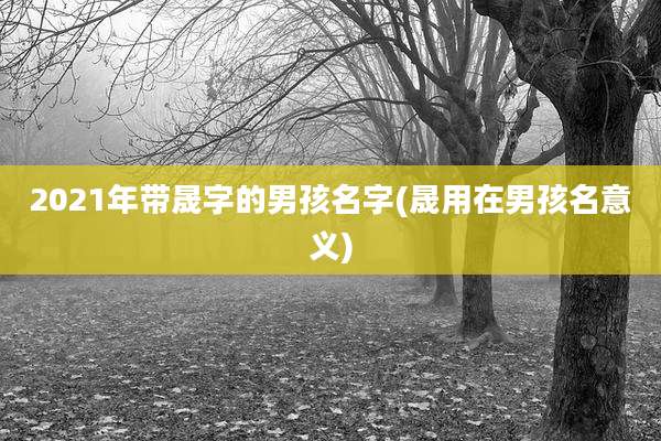 2021年带晟字的男孩名字(晟用在男孩名意义)