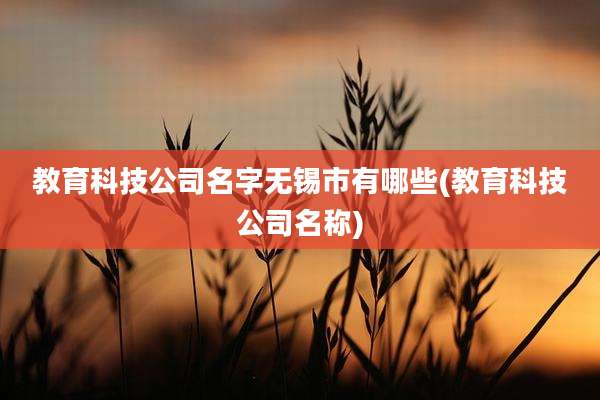 教育科技公司名字无锡市有哪些(教育科技公司名称)