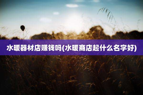 水暖器材店赚钱吗(水暖商店起什么名字好)