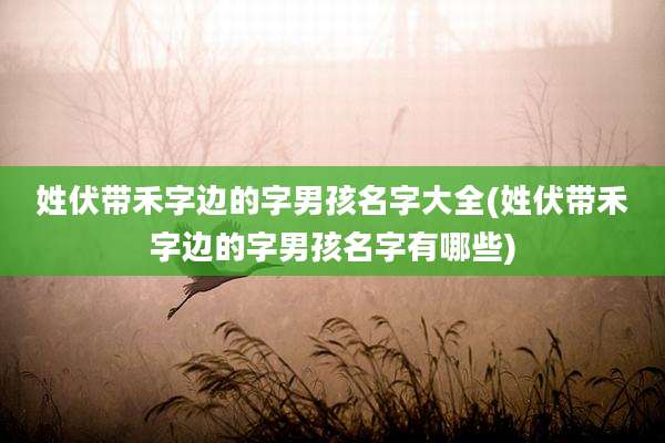 姓伏带禾字边的字男孩名字大全(姓伏带禾字边的字男孩名字有哪些)