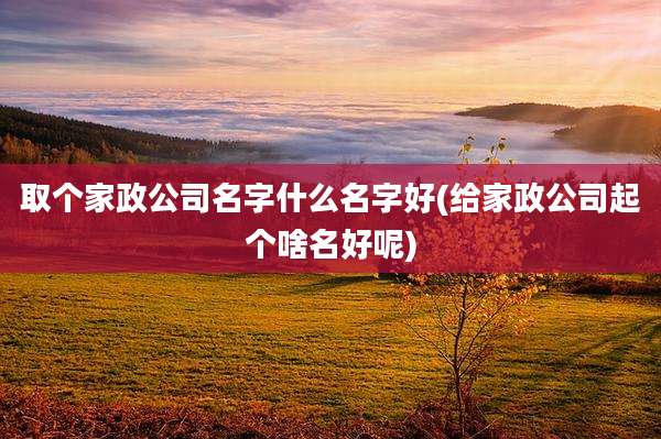 取个家政公司名字什么名字好(给家政公司起个啥名好呢)