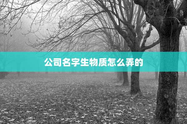 公司名字生物质怎么弄的
