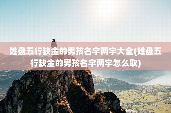 姓盘五行缺金的男孩名字两字大全(姓盘五行缺金的男孩名字两字怎么取)
