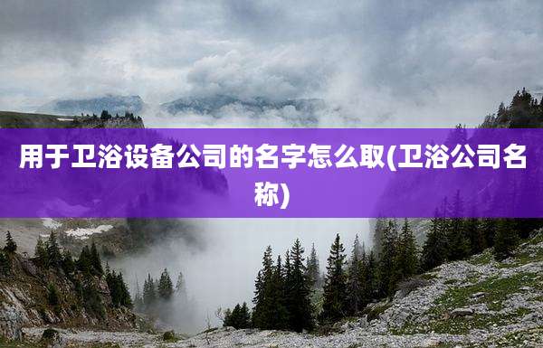 用于卫浴设备公司的名字怎么取(卫浴公司名称)