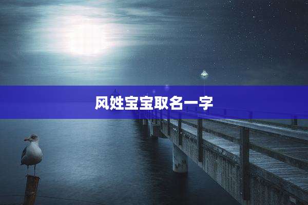 风姓宝宝取名一字