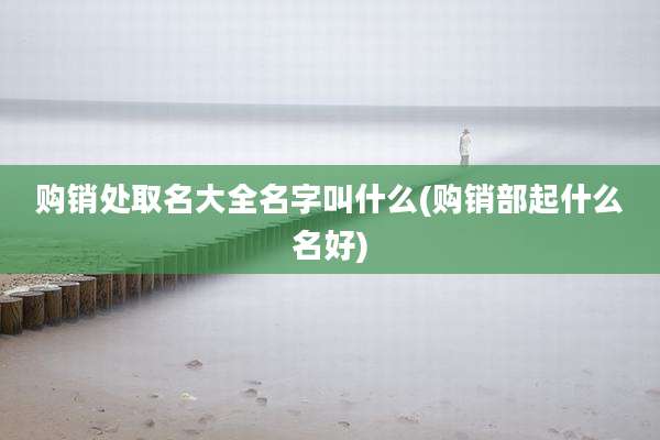购销处取名大全名字叫什么(购销部起什么名好)