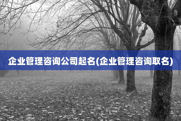 企业管理咨询公司起名(企业管理咨询取名)