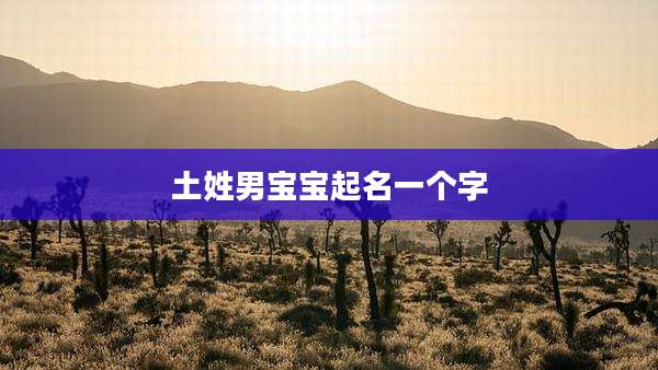 土姓男宝宝起名一个字