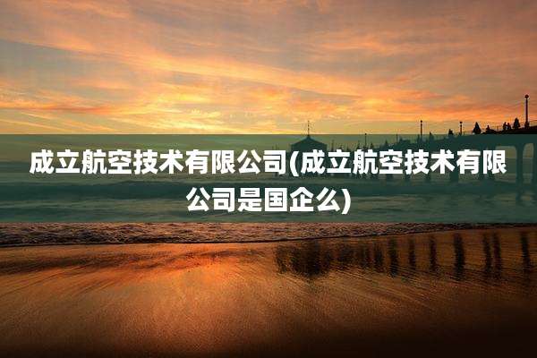 成立航空技术有限公司(成立航空技术有限公司是国企么)