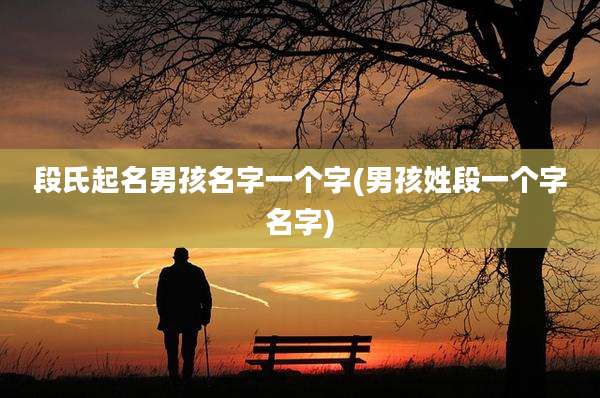 段氏起名男孩名字一个字(男孩姓段一个字名字)