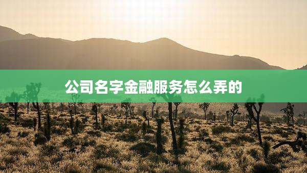 公司名字金融服务怎么弄的