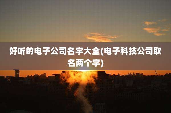 好听的电子公司名字大全(电子科技公司取名两个字)