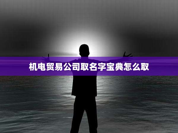 机电贸易公司取名字宝典怎么取
