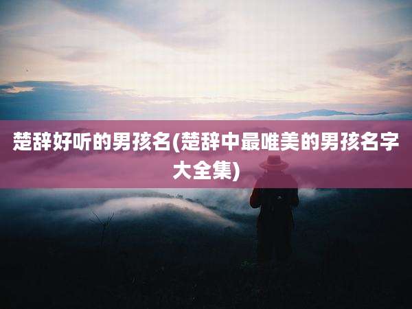 楚辞好听的男孩名(楚辞中最唯美的男孩名字大全集)