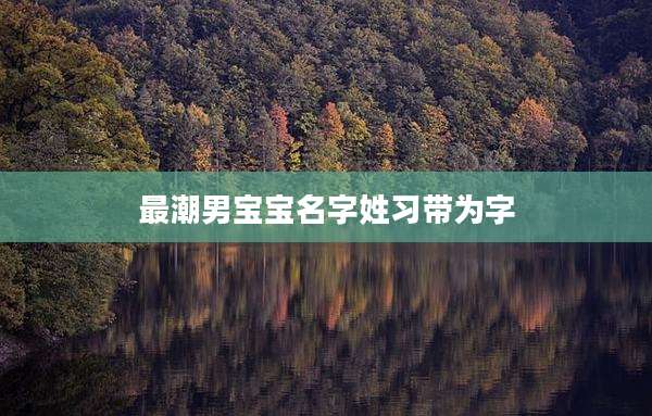 最潮男宝宝名字姓习带为字