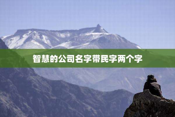 智慧的公司名字带民字两个字