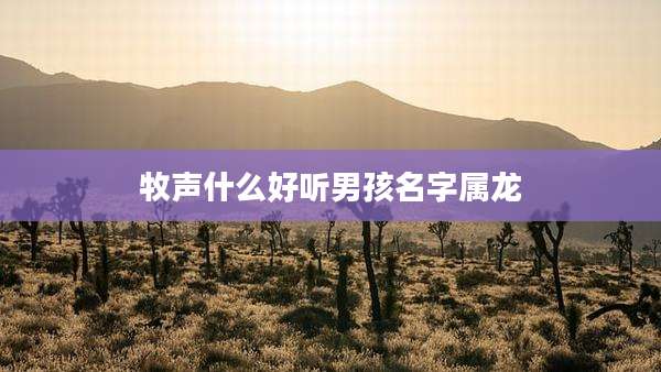 牧声什么好听男孩名字属龙