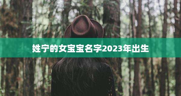 姓宁的女宝宝名字2023年出生