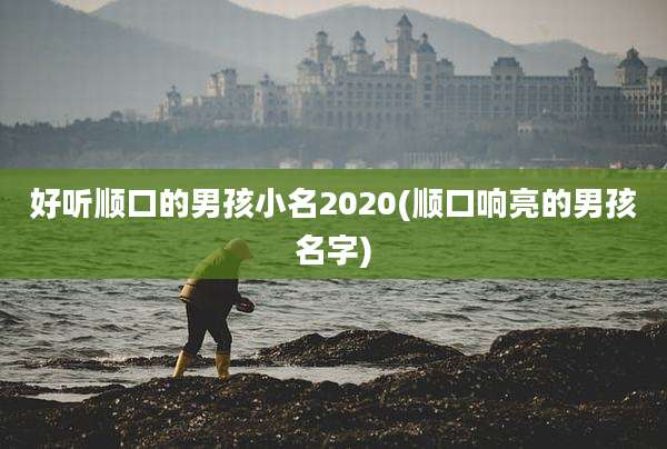 好听顺口的男孩小名2020(顺口响亮的男孩名字)
