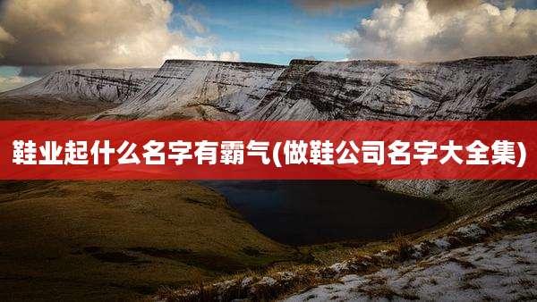 鞋业起什么名字有霸气(做鞋公司名字大全集)