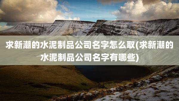求新潮的水泥制品公司名字怎么取(求新潮的水泥制品公司名字有哪些)