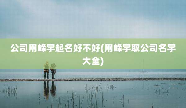 公司用峰字起名好不好(用峰字取公司名字大全)